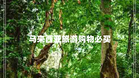 馬來西亞旅游購物必買