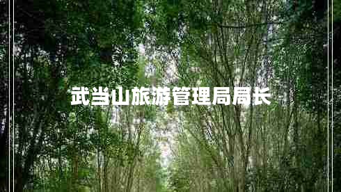 武當山旅游管理局局長(cháng)