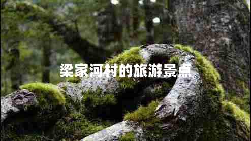梁家河村的旅游景點(diǎn)
