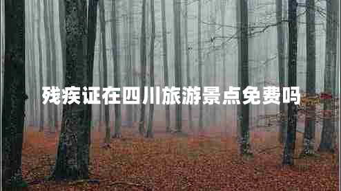殘疾證在四川旅游景點免費嗎
