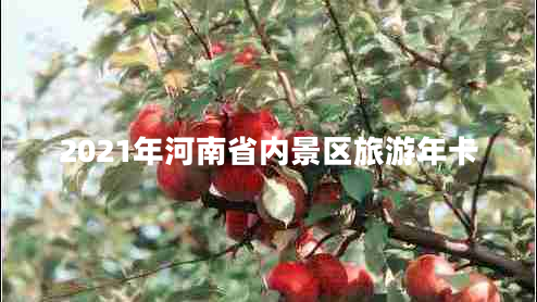 2021年河南省內(nèi)景區(qū)旅游年卡