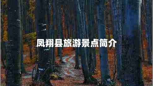 鳳翔縣旅游景點簡介