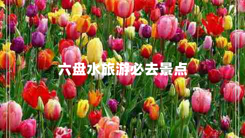 六盤水旅游必去景點