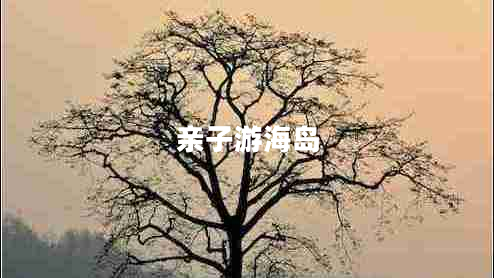 親子游海島