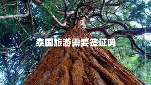 泰國旅游需要簽證嗎