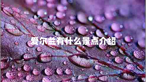 愛(ài)爾蘭有什么景點(diǎn)介紹
