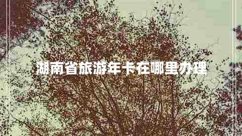 湖南省旅游年卡在哪里辦理
