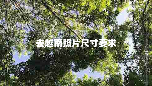 去越南照片尺寸要求