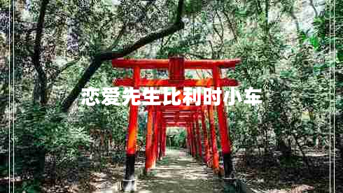 戀愛先生比利時小車