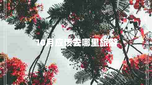 10月應該去哪里旅游