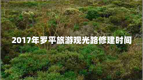 2017年羅平旅游觀(guān)光路修建時(shí)間