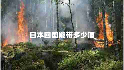 日本回國能帶多少酒