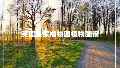 英國皇家植物園植物圖譜