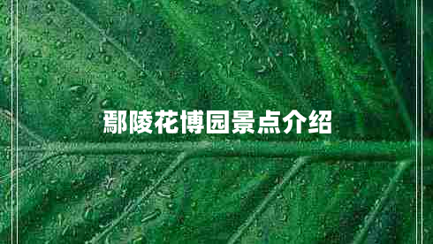 鄢陵花博園景點介紹
