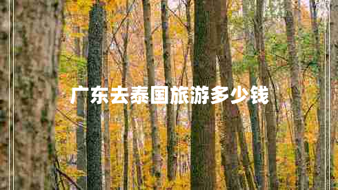 廣東去泰國(guó)旅游多少錢(qián)