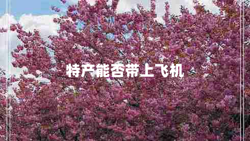特產(chǎn)能否帶上飛機(jī)