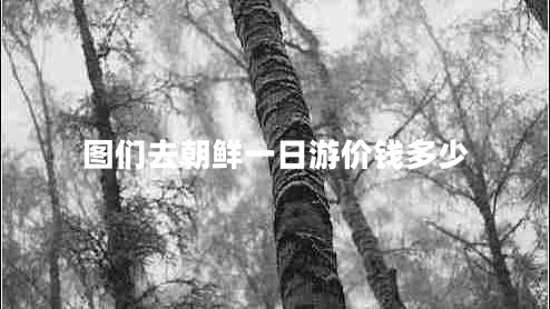 圖們?nèi)コr一日游價(jià)錢(qián)多少