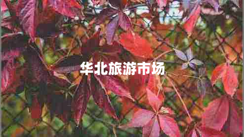 華北旅游市場(chǎng)