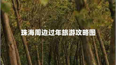 珠海周邊過(guò)年旅游攻略圖