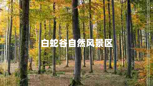 白蛇谷自然風(fēng)景區(qū)