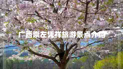廣西崇左憑祥旅游景點(diǎn)介紹