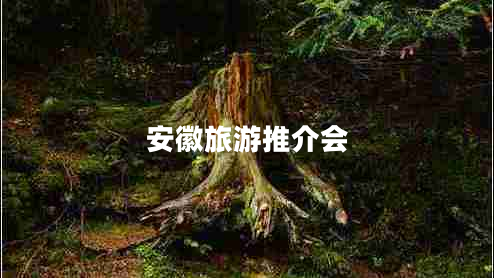 安徽旅游推介會