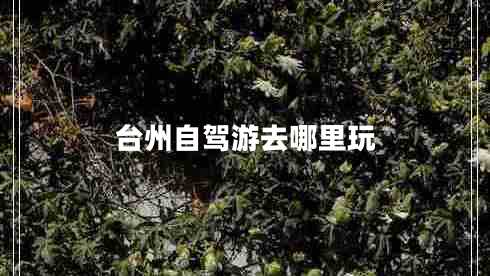 臺(tái)州自駕游去哪里玩