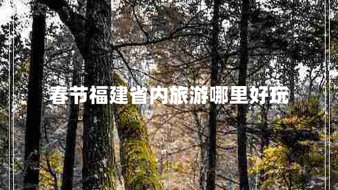 春節(jié)福建省內(nèi)旅游哪里好玩