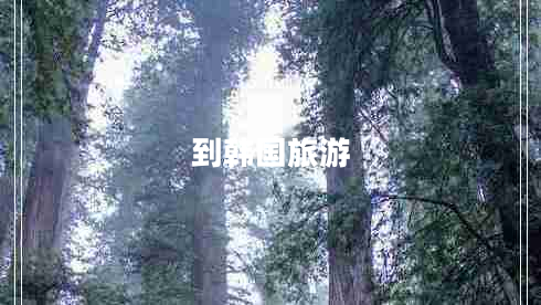 到韓國旅游