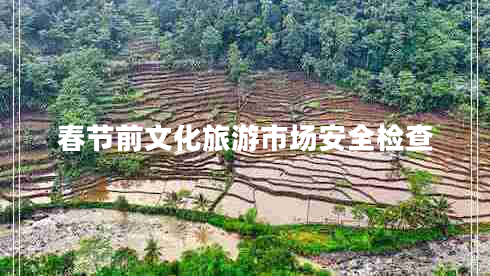春節前文化旅游市場(chǎng)安全檢查
