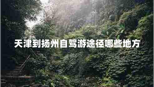 天津到揚(yáng)州自駕游途徑哪些地方