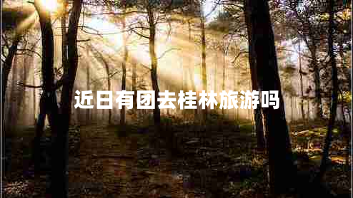 近日有團去桂林旅游嗎
