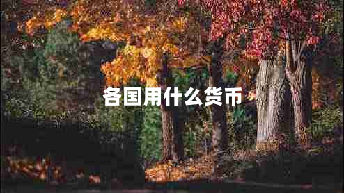 各國用什么貨幣