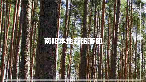 南陽本地游旅游團