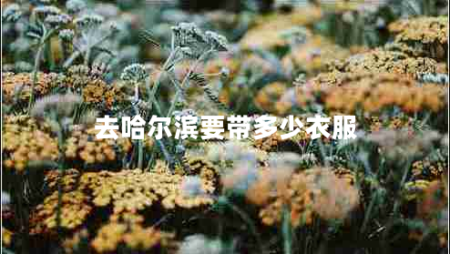 去哈爾濱要帶多少衣服
