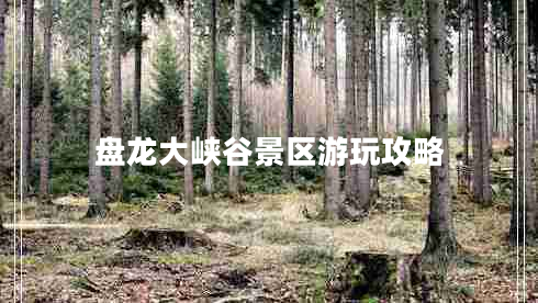 盤(pán)龍大峽谷景區游玩攻略