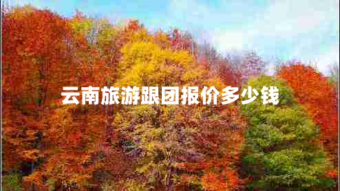 云南旅游跟團報價(jià)多少錢(qián)