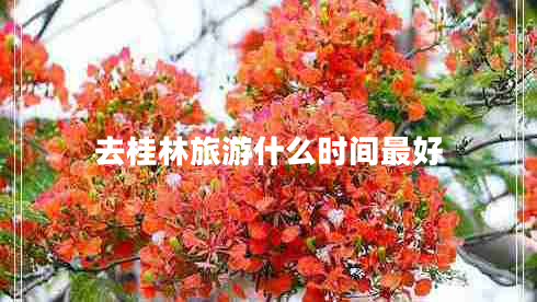 去桂林旅游什么時(shí)間最好