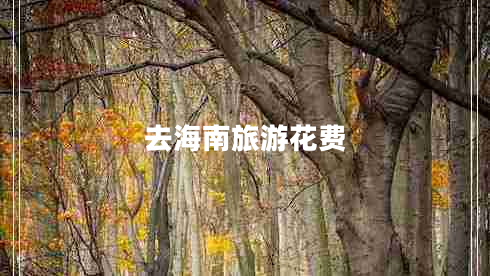 去海南旅游花費
