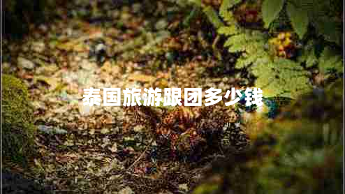 泰國旅游跟團多少錢(qián)