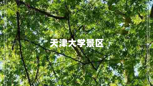 天津大學(xué)景區
