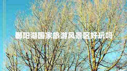 鄱陽湖國家旅游風(fēng)景區(qū)好玩嗎
