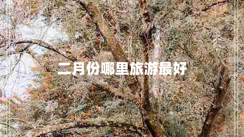 二月份哪里旅游最好