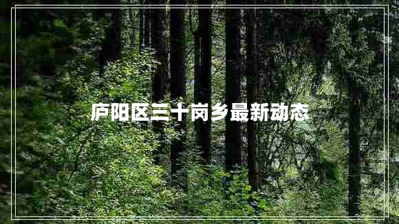 廬陽(yáng)區(qū)三十崗鄉(xiāng)最新動(dòng)態(tài)