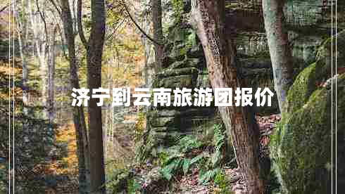 濟寧到云南旅游團報價(jià)