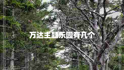 萬達(dá)主題樂園有幾個(gè)