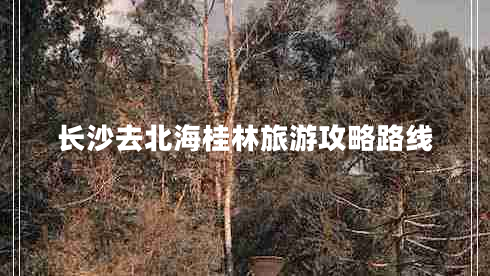 長(cháng)沙去北海桂林旅游攻略路線(xiàn)
