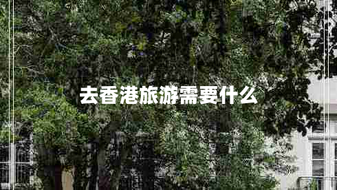 去香港旅游需要什么