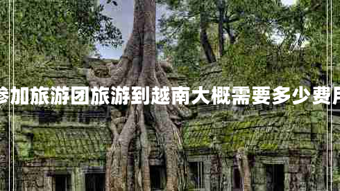 參加旅游團(tuán)旅游到越南大概需要多少費(fèi)用