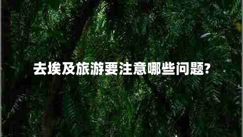 去埃及旅游要注意哪些問題?